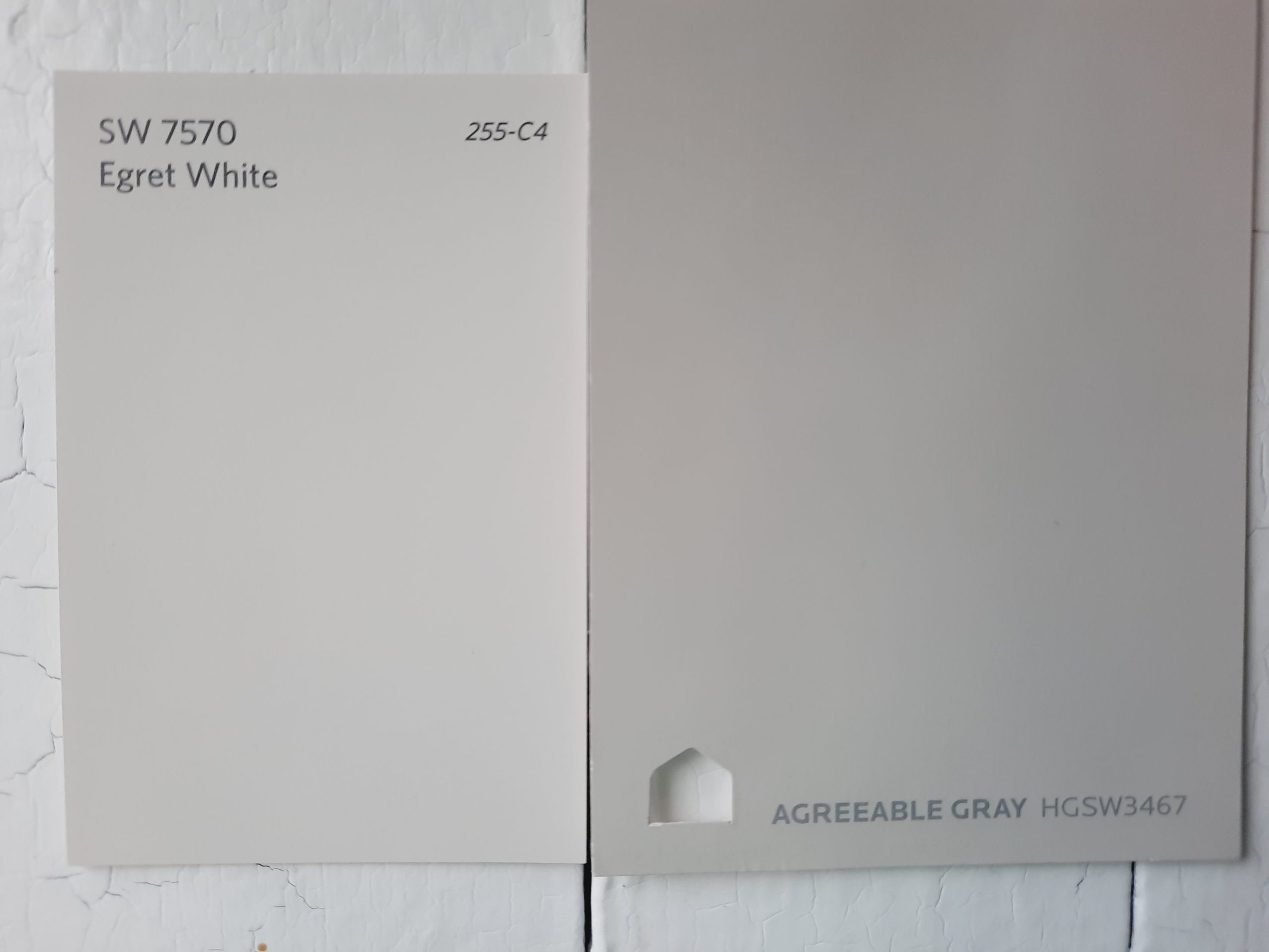 7 Egret White vs Agreeable Gray by Sherwin Williams scaled