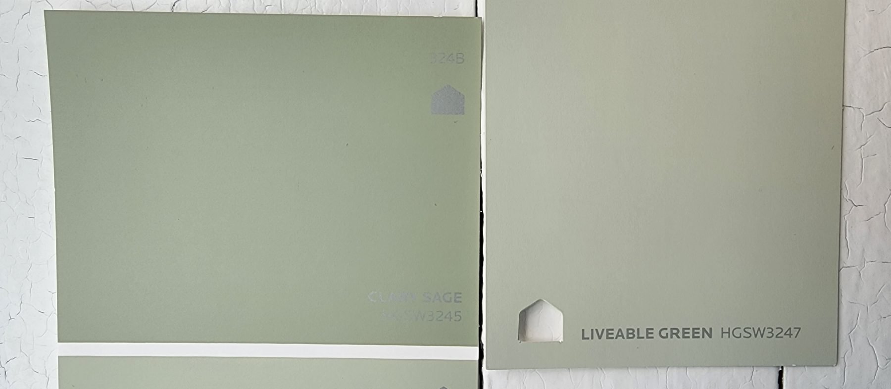 Clary Sage by Sherwin Williams