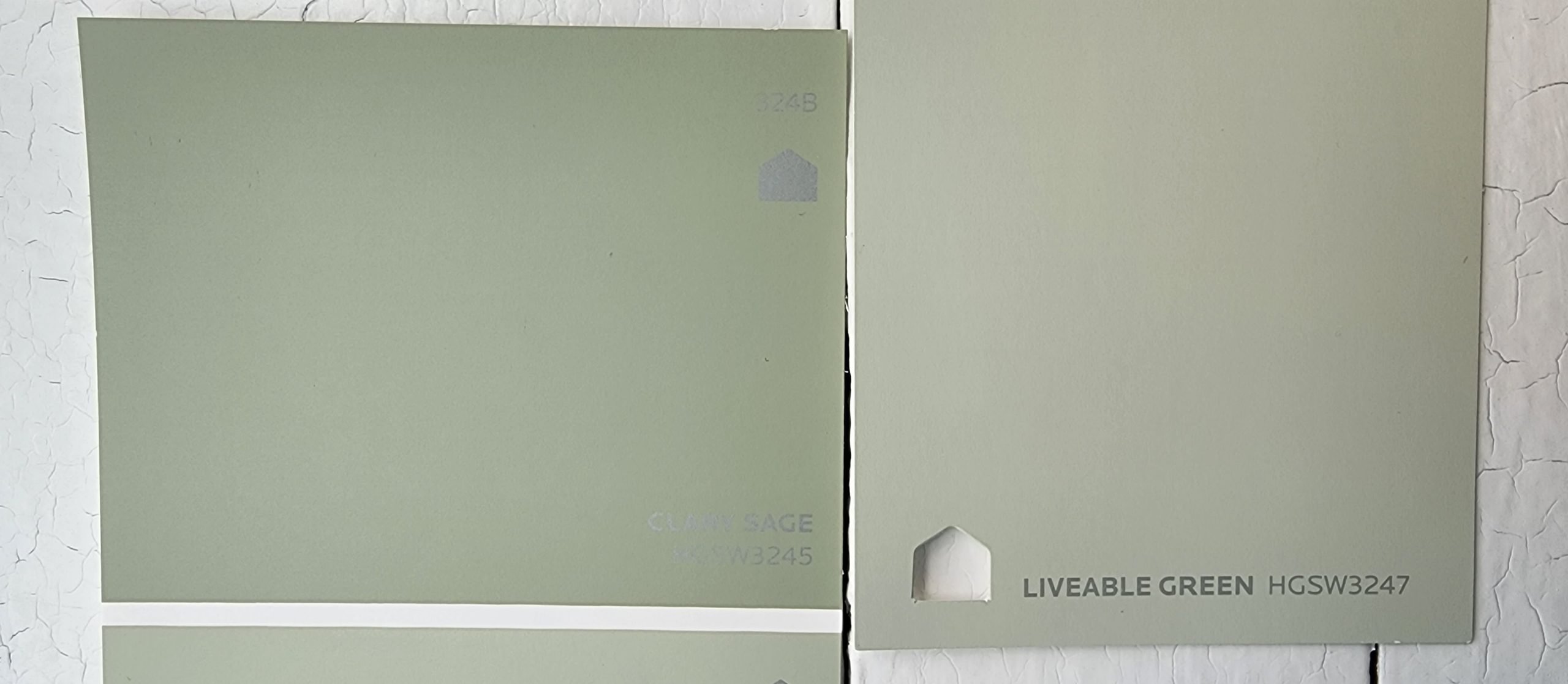  Clary Sage vs Liveable Green scaled