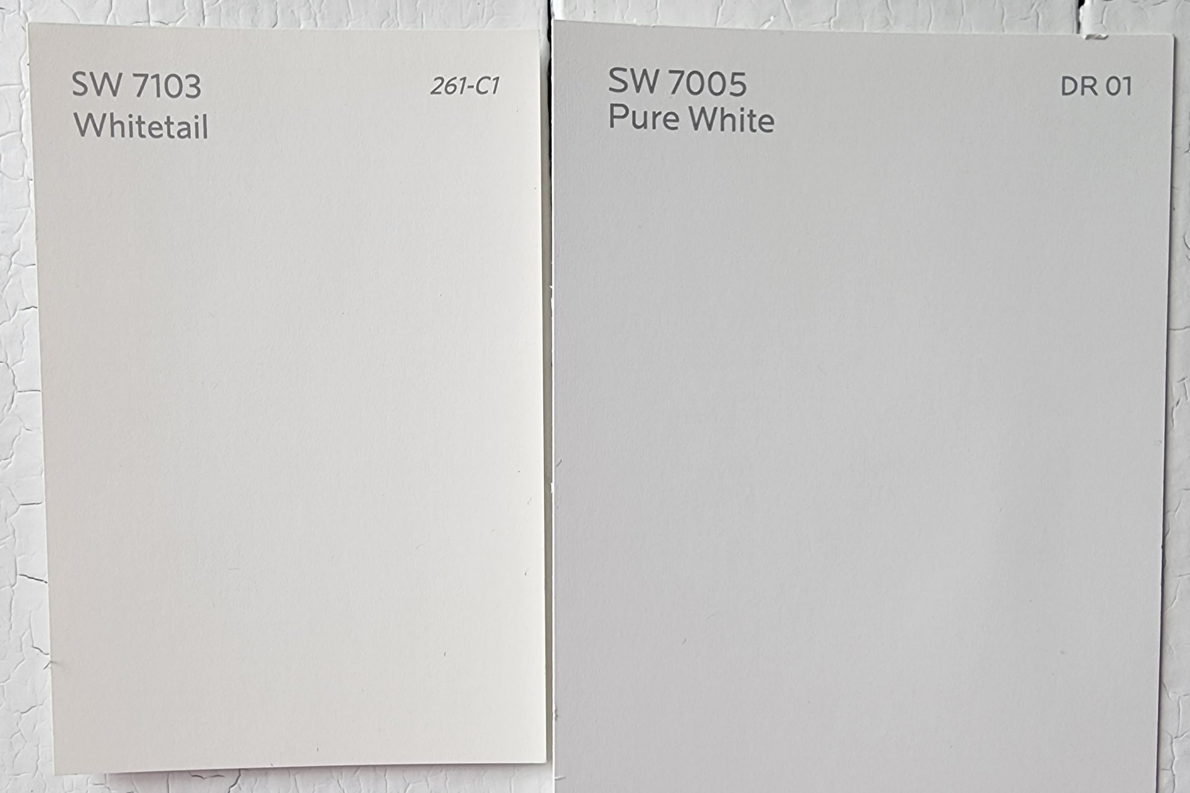  Whitetail vs Pure White by Sherwin Williams scaled