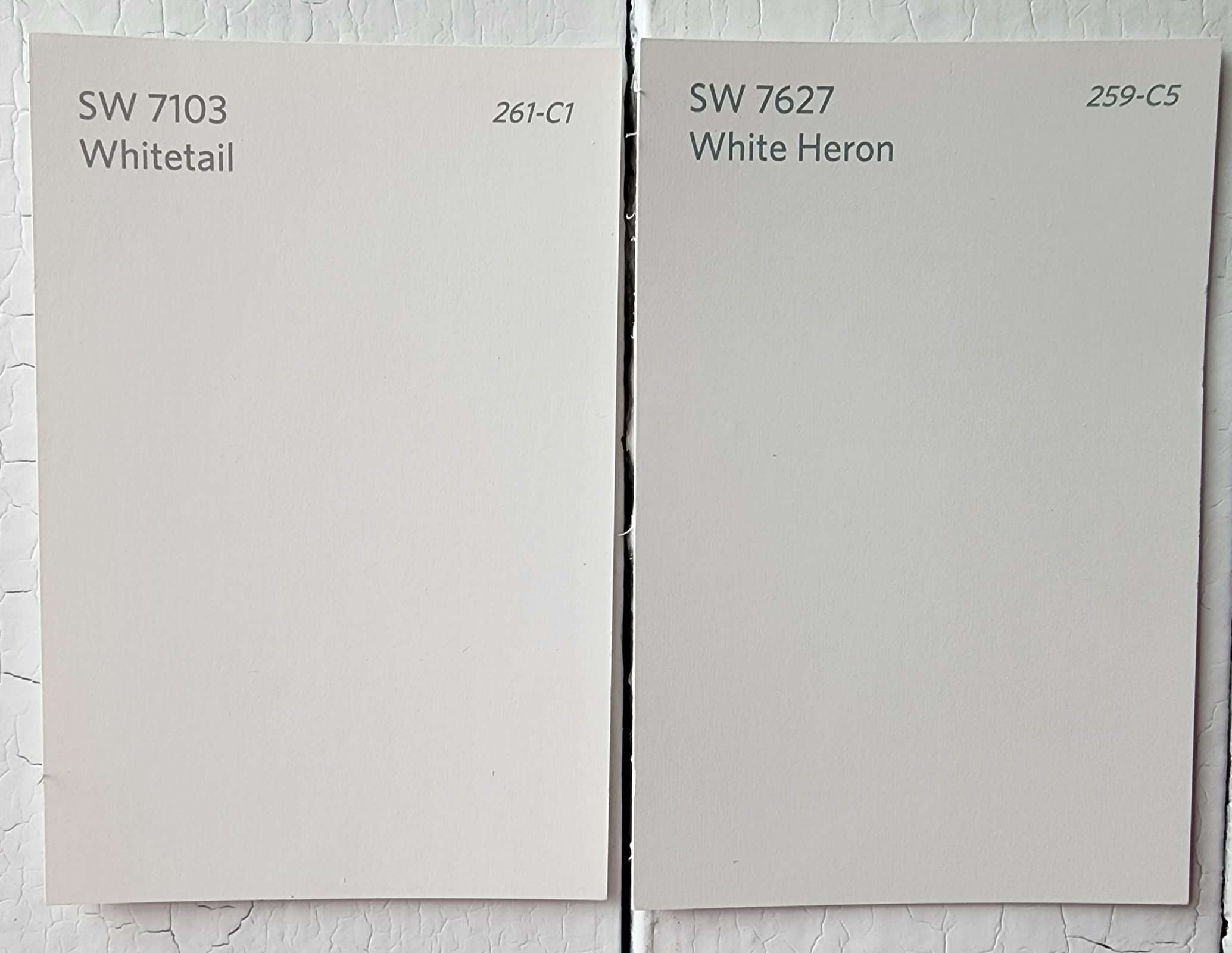  Whitetail vs White Heron by Sherwin Williams scaled