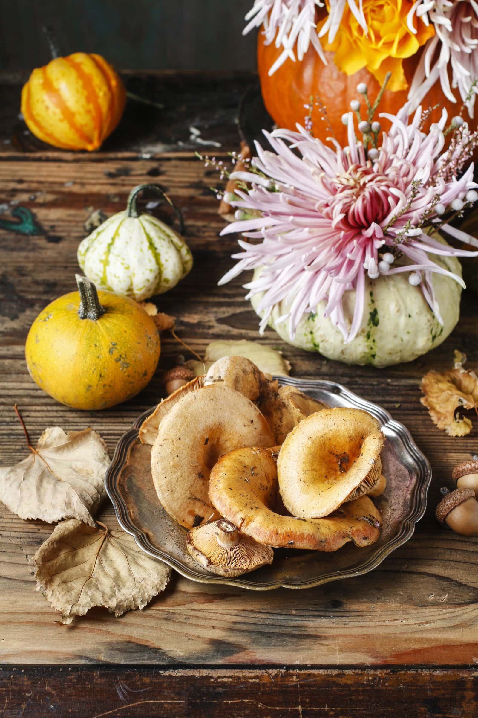  Mushrooms Make for Unconventional yet Gorgeous Decor scaled