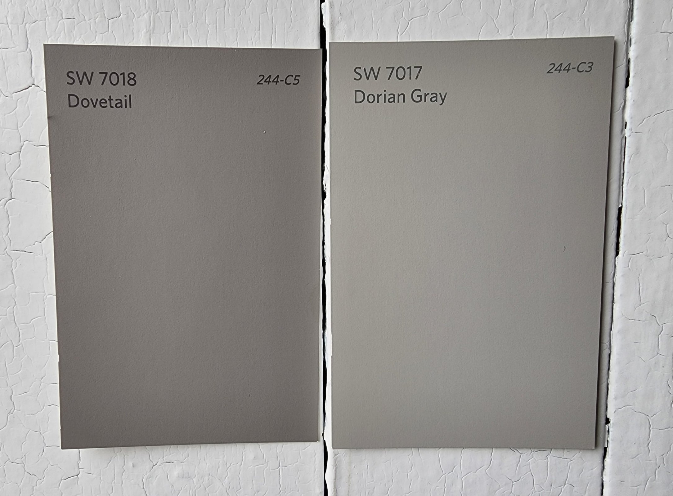  Dovetail vs Dorian Gray by Sherwin Williams scaled