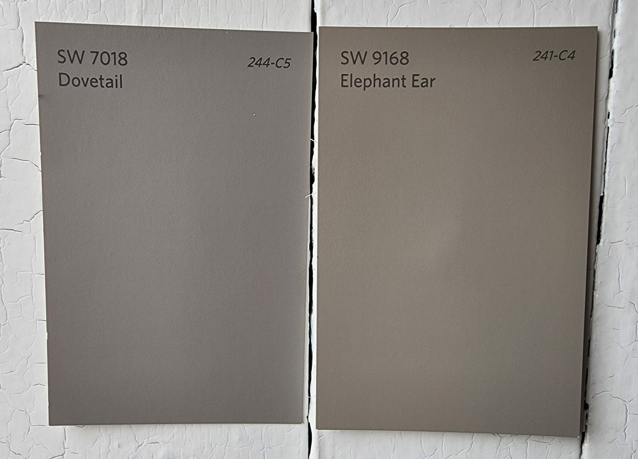  Dovetail vs Elephant Ear by Sherwin Williams scaled