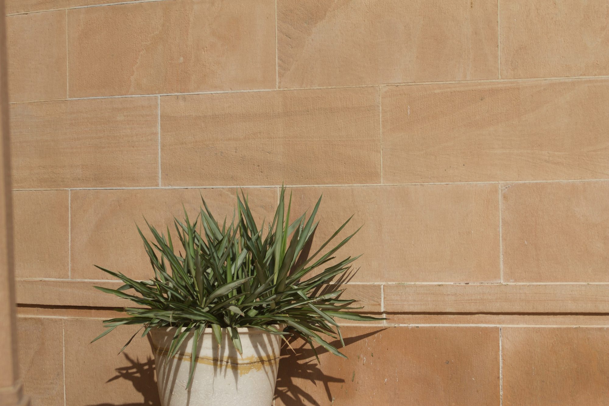 What Color Grout to Use With a Beige Tile