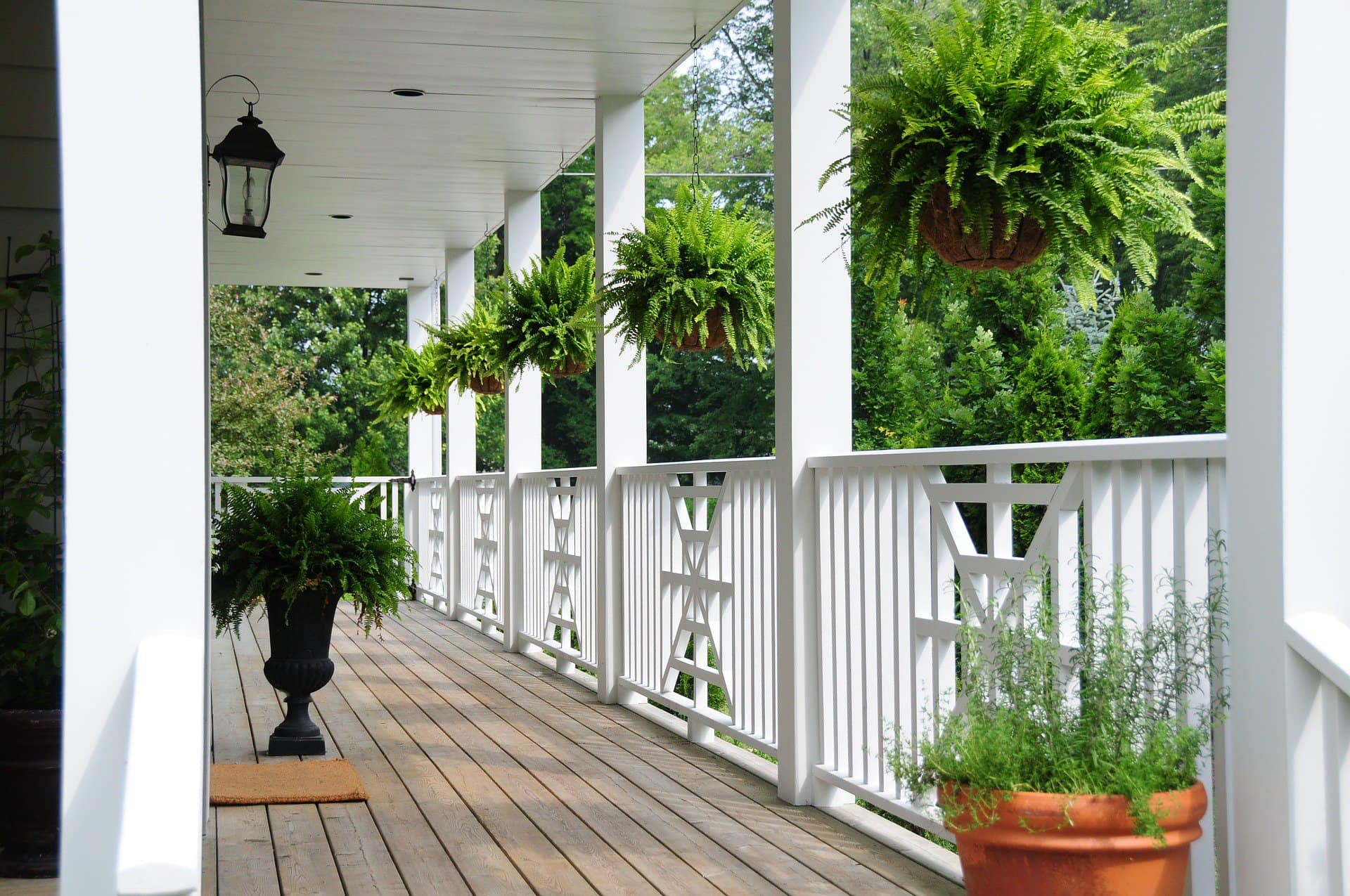  Planting for Your Porch