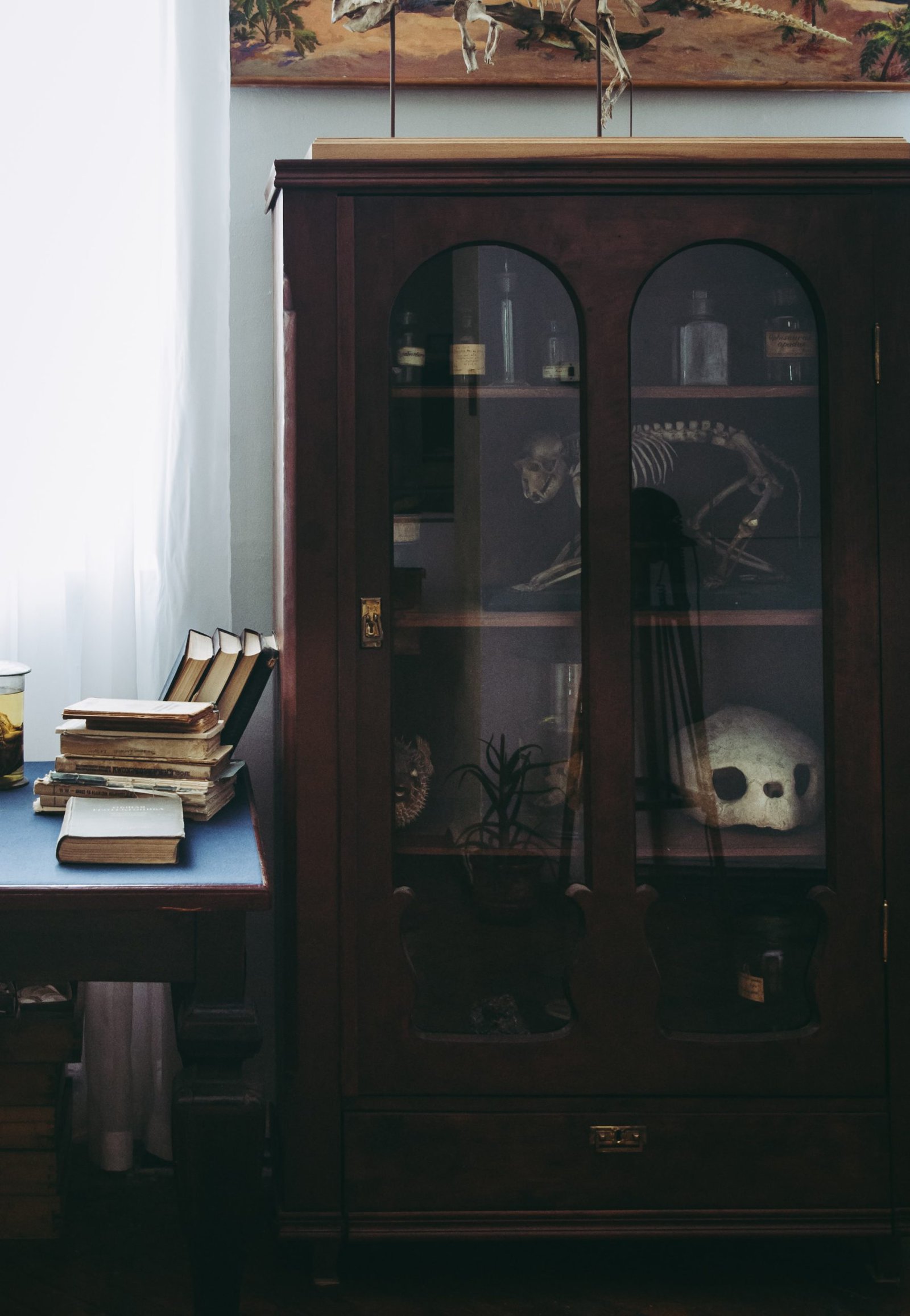  A Cabinet of Curiosities scaled