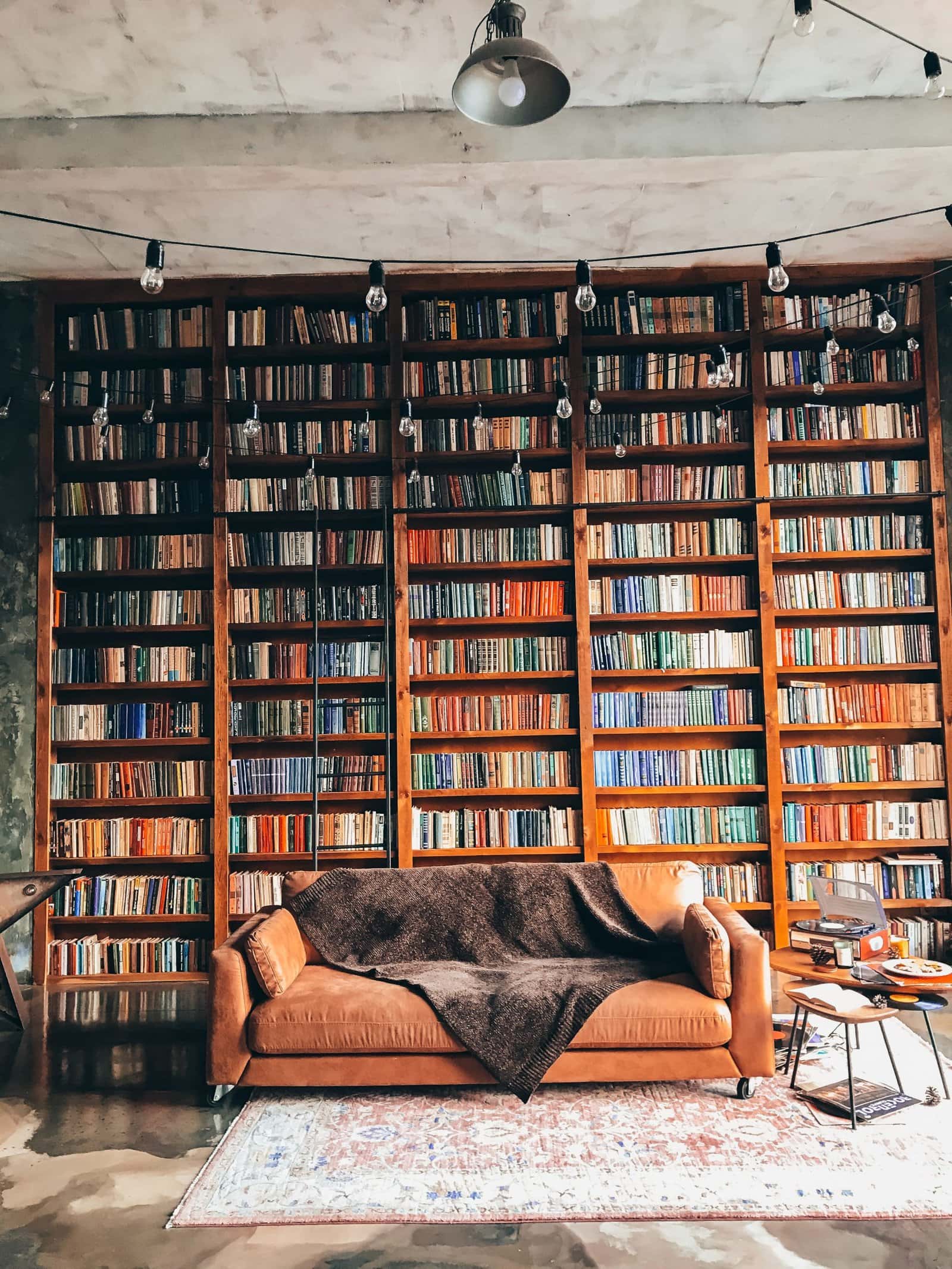  Festoon Bookcase Lighting scaled