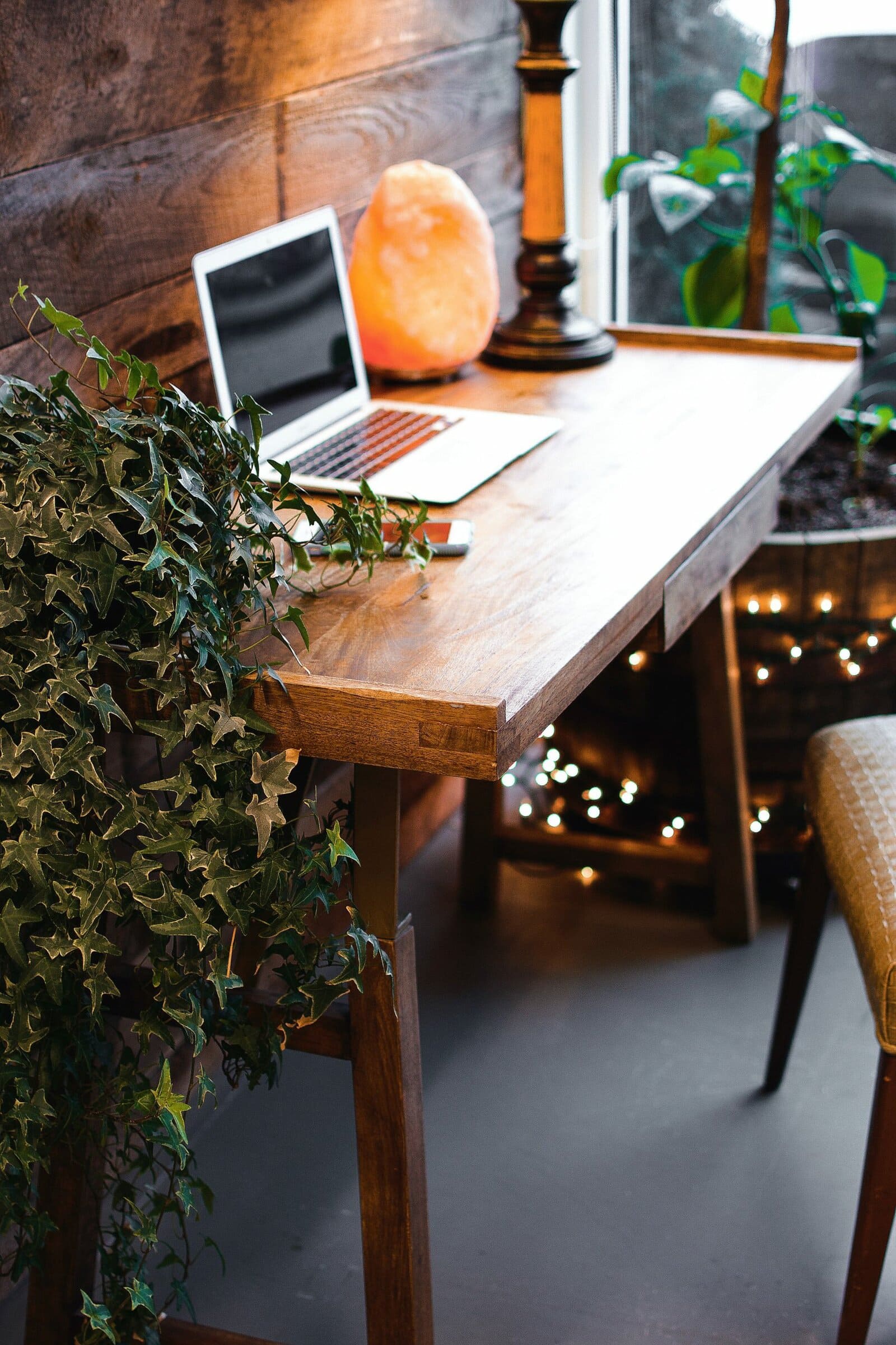  Plants Make for Fantastic Office Decor scaled