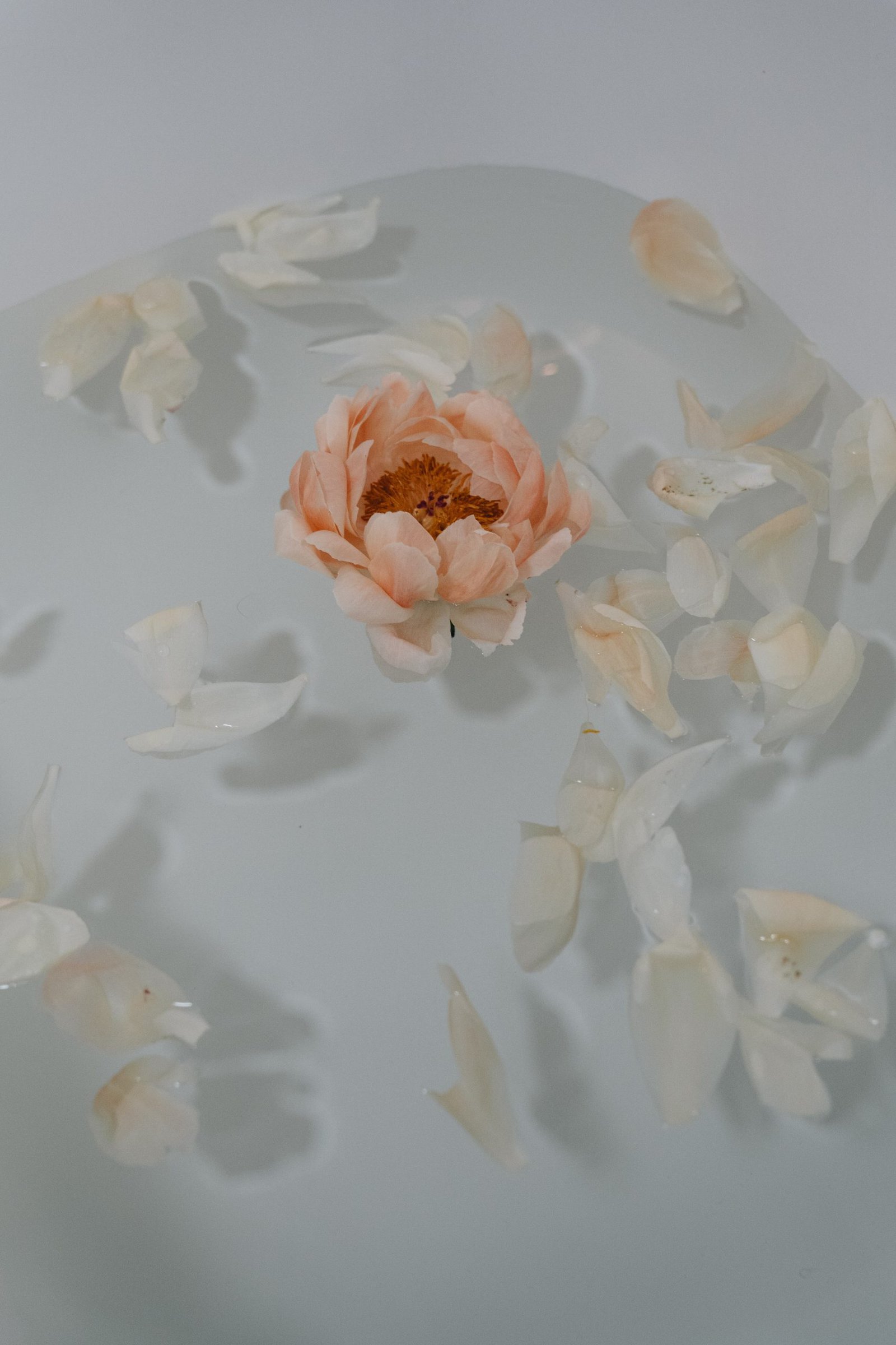 Petals in the Bath scaled